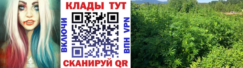 Купить наркотики цена Заволжье COCAIN  MDMA  Меф  A PVP  ГАШ  Канабис 