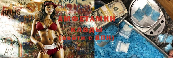 индика Каменногорск