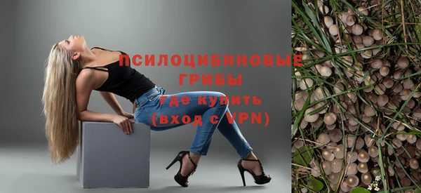 твердый Абаза