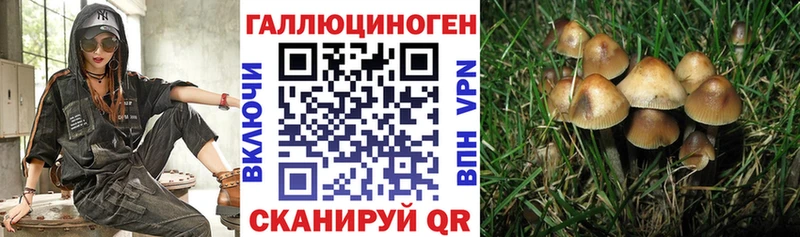 Галлюциногенные грибы мицелий  Заволжье 